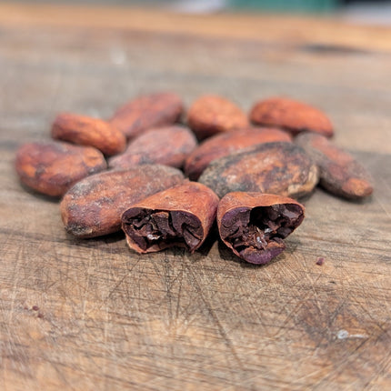 Amazonas Raw Whole Cacao Beans (Dried & Unroasted) Legumes, Seeds and Grains Amazonas Rainforest Product